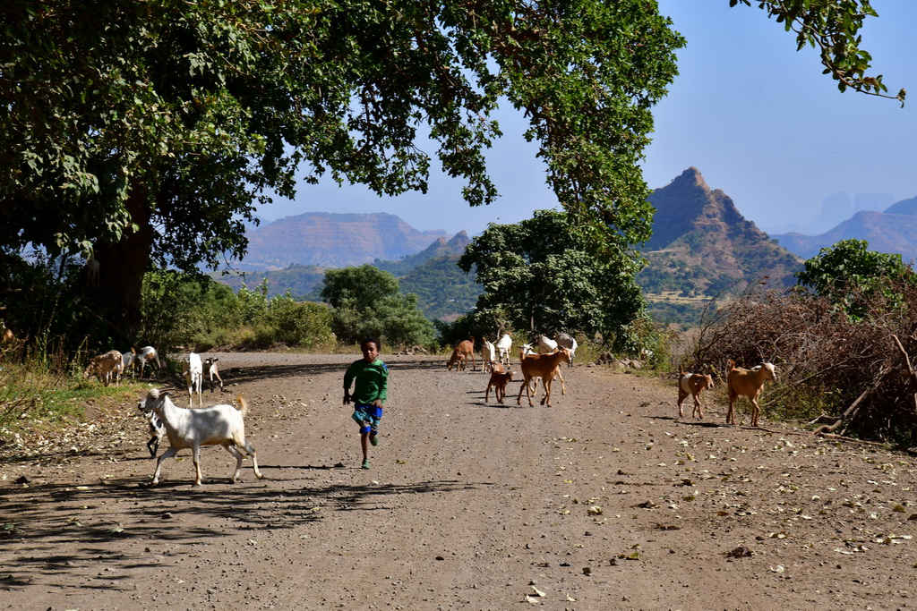 Debark to Axum